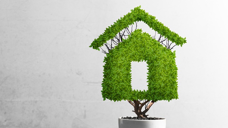 Get a Green Loan today!